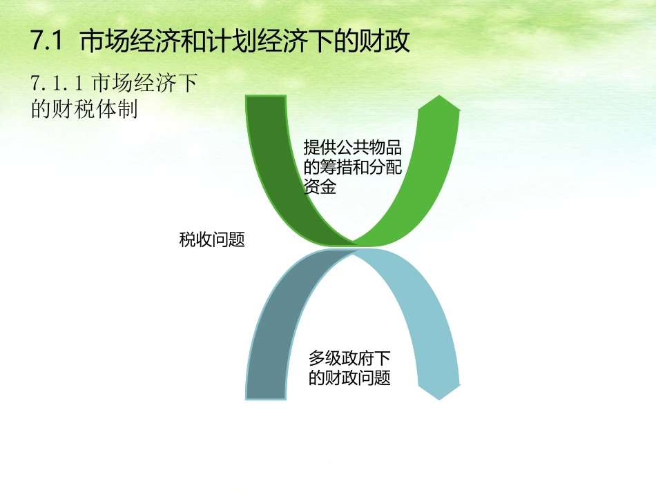 第七章财政税收体制改革_第3页