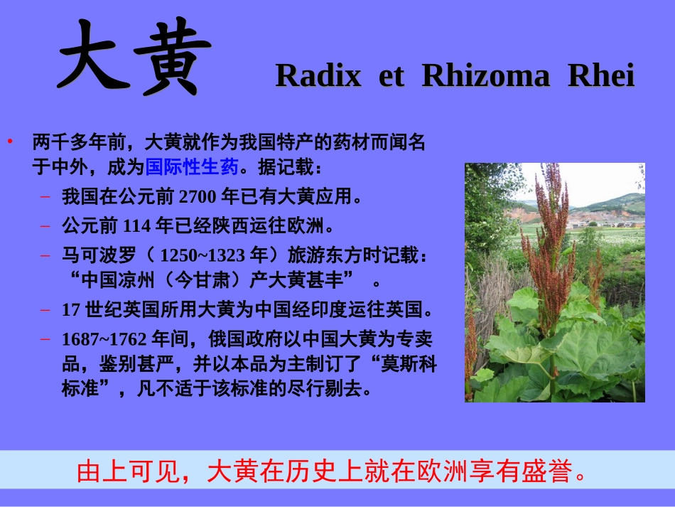 第七章根和根茎类生药1_第2页