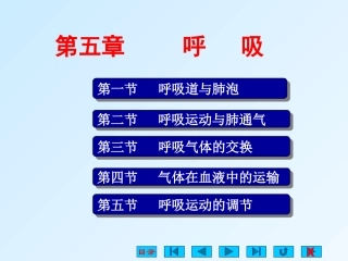 第七章呼吸一