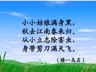 小动物过冬演示文稿