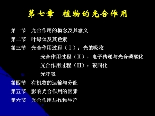 第七章 光合作用