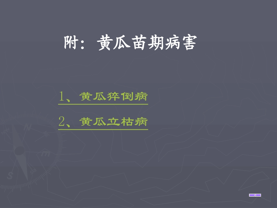 第一部-瓜类病害_第3页