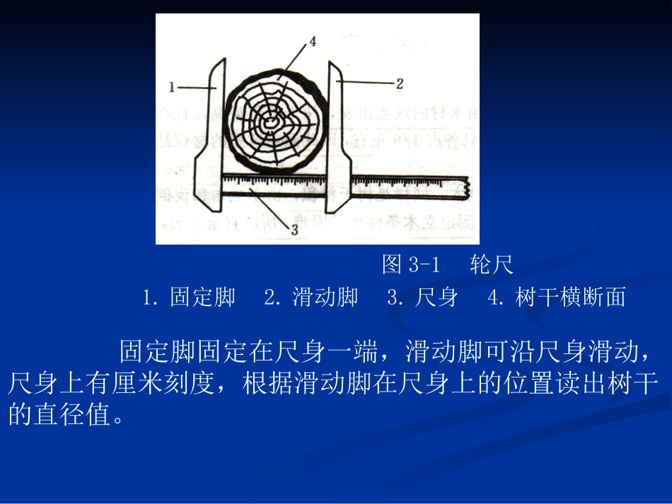 第一节树木材积测定_第3页