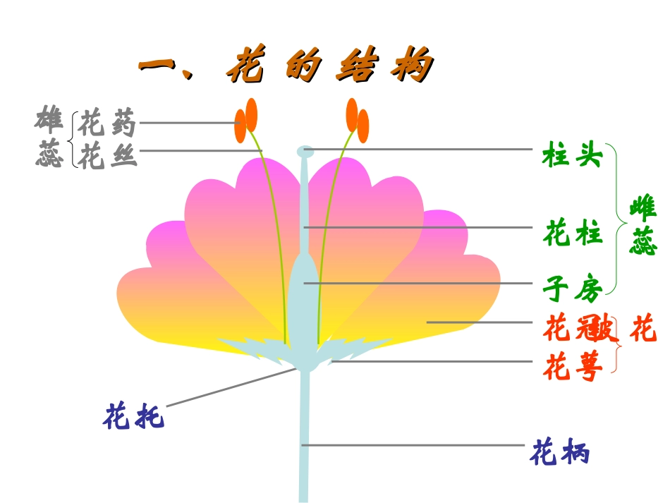 第一节_花的结构和类型_第1页