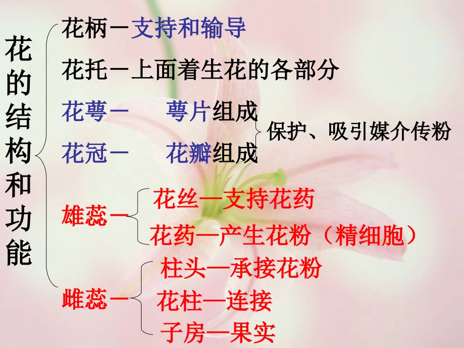 第一节_花的结构和类型_第2页