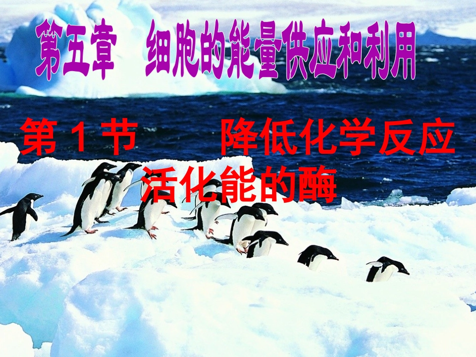 第一节 降低化学反应活化能的酶(改)_第2页