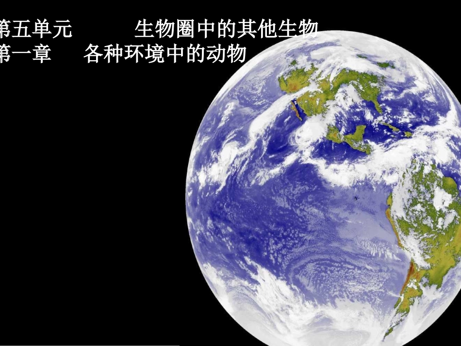 第一节_水中生活的动物(用)_第1页