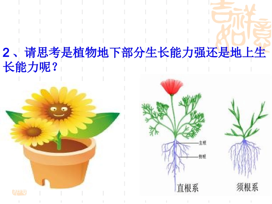 第一节  根的生长_第2页