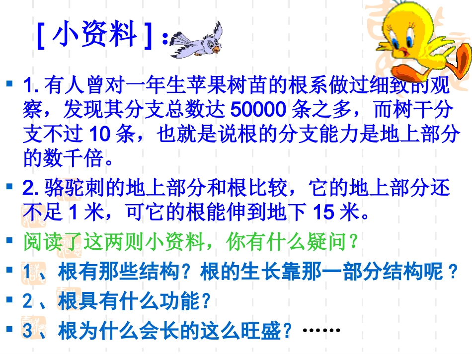 第一节  根的生长_第3页