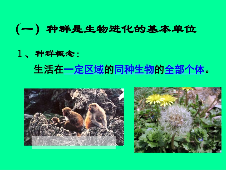 第7章一、种群基因频率的改变与生物进化1_第2页