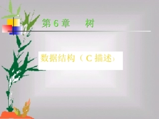第6章 树型结构