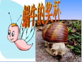 《蜗牛的奖杯》PPT课件