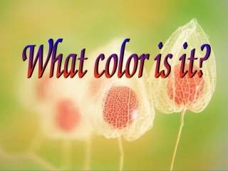 whatcolorisit