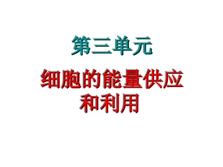 第3单元 第9课时 降低化学反应活化能的酶