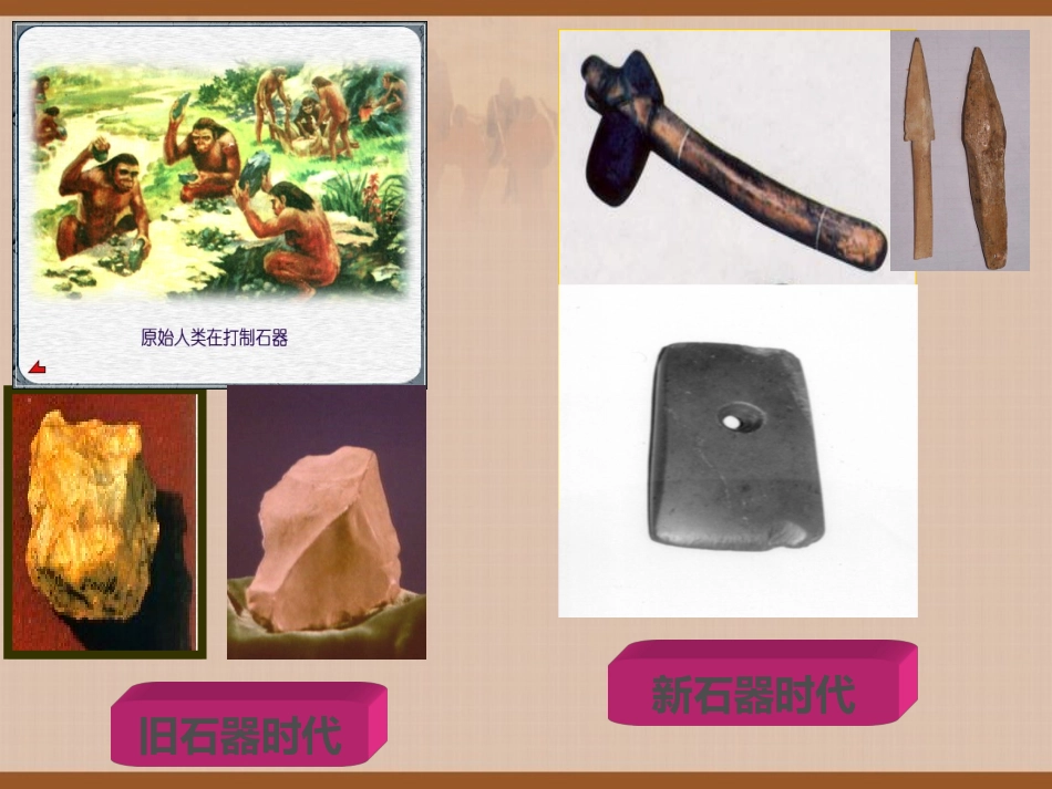 第2课原始农耕的形成_第2页