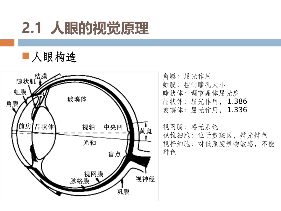 第2章 数字图像处理概念_第3页