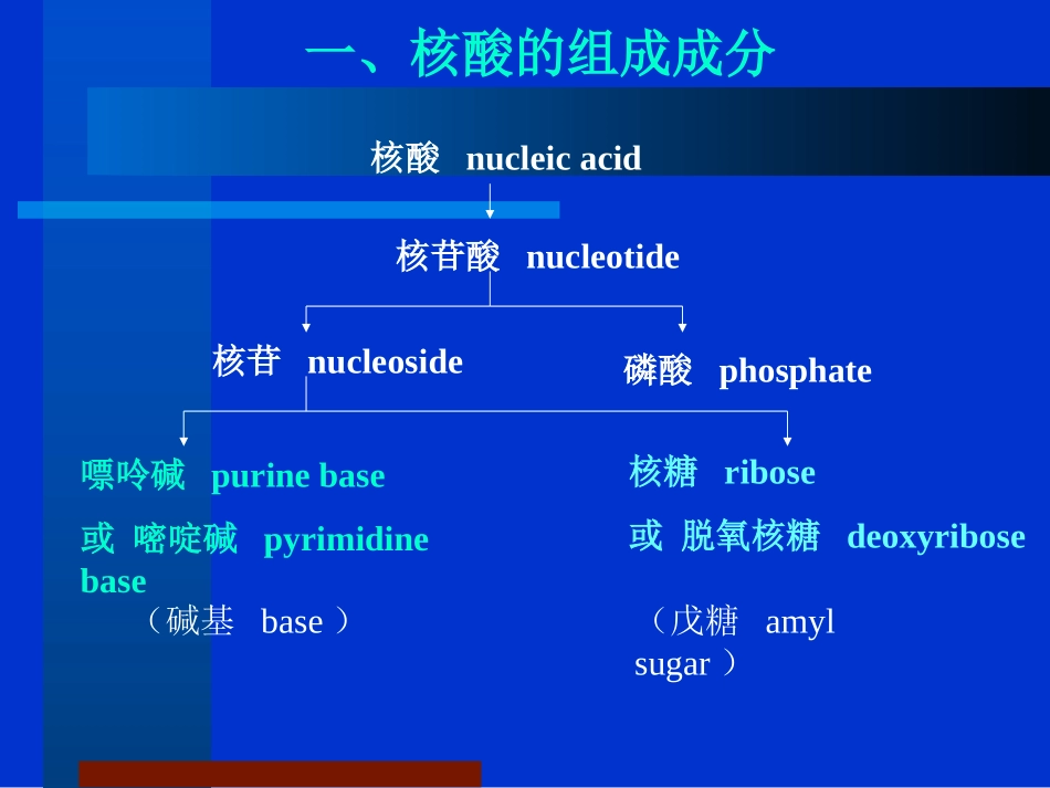 第14章核酸的结构_第2页