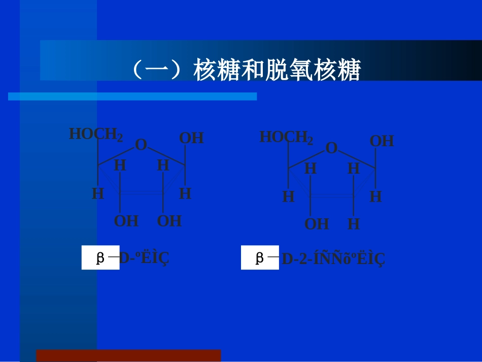 第14章核酸的结构_第3页