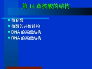 第14章核酸的结构