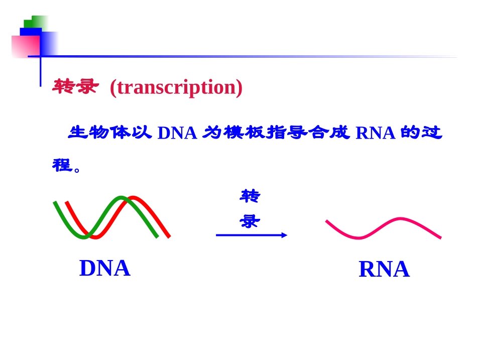 第11章 转录_第3页
