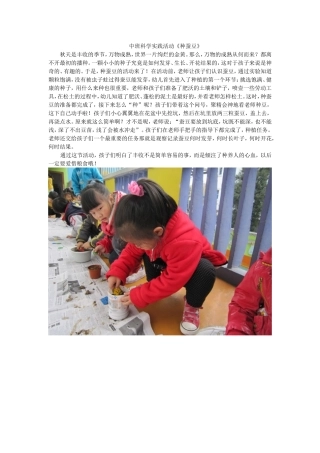 中班科学实践活动《种蚕豆》