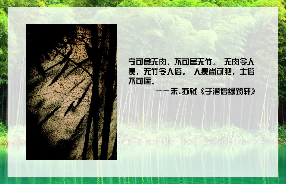 竹子简介分类_第2页