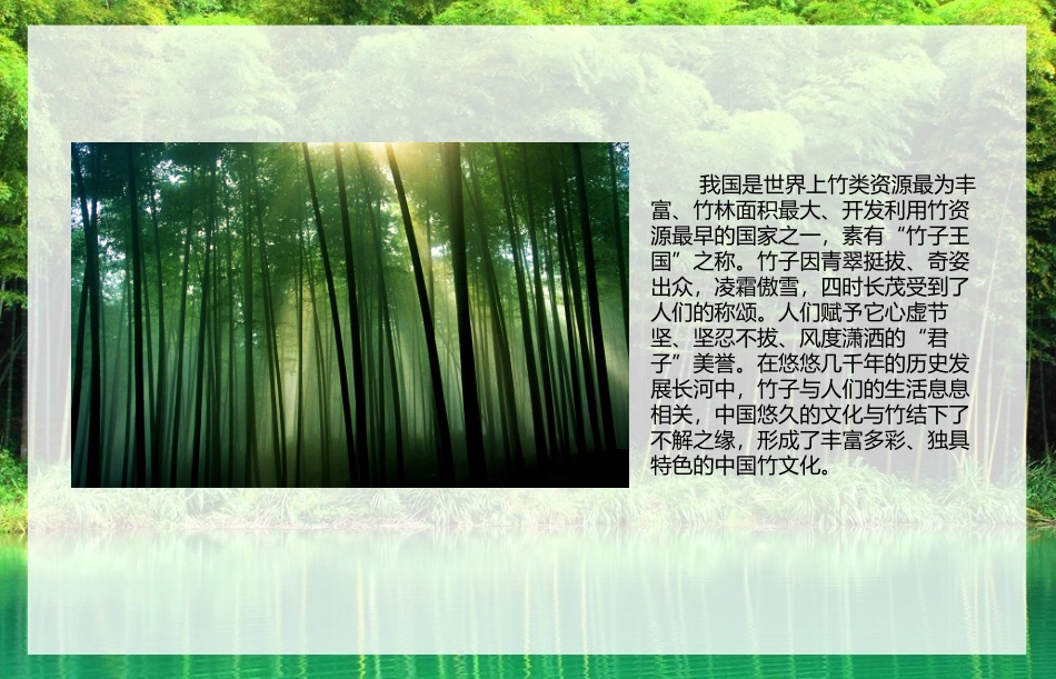 竹子简介分类_第3页