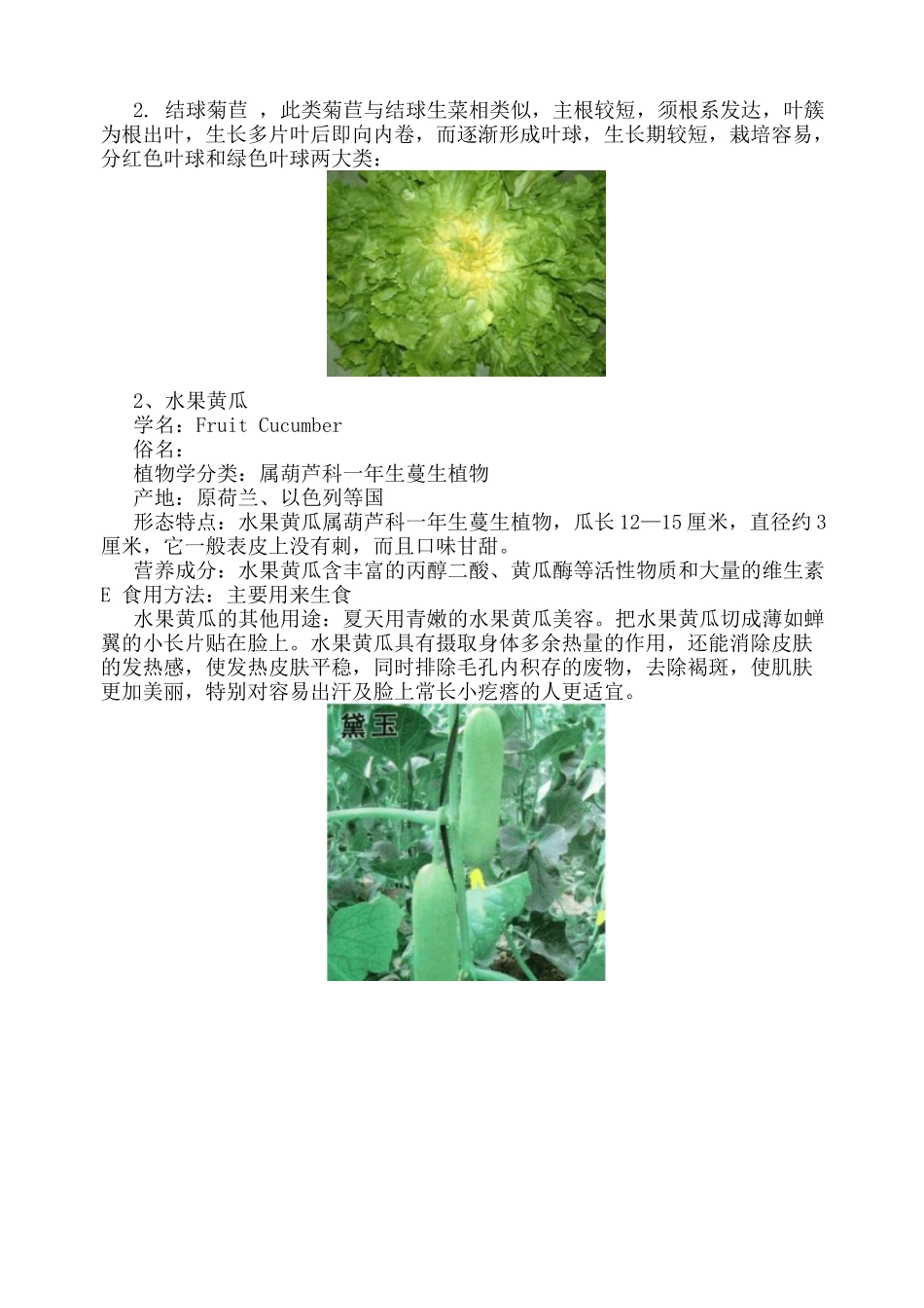 稀特类蔬菜1_第2页