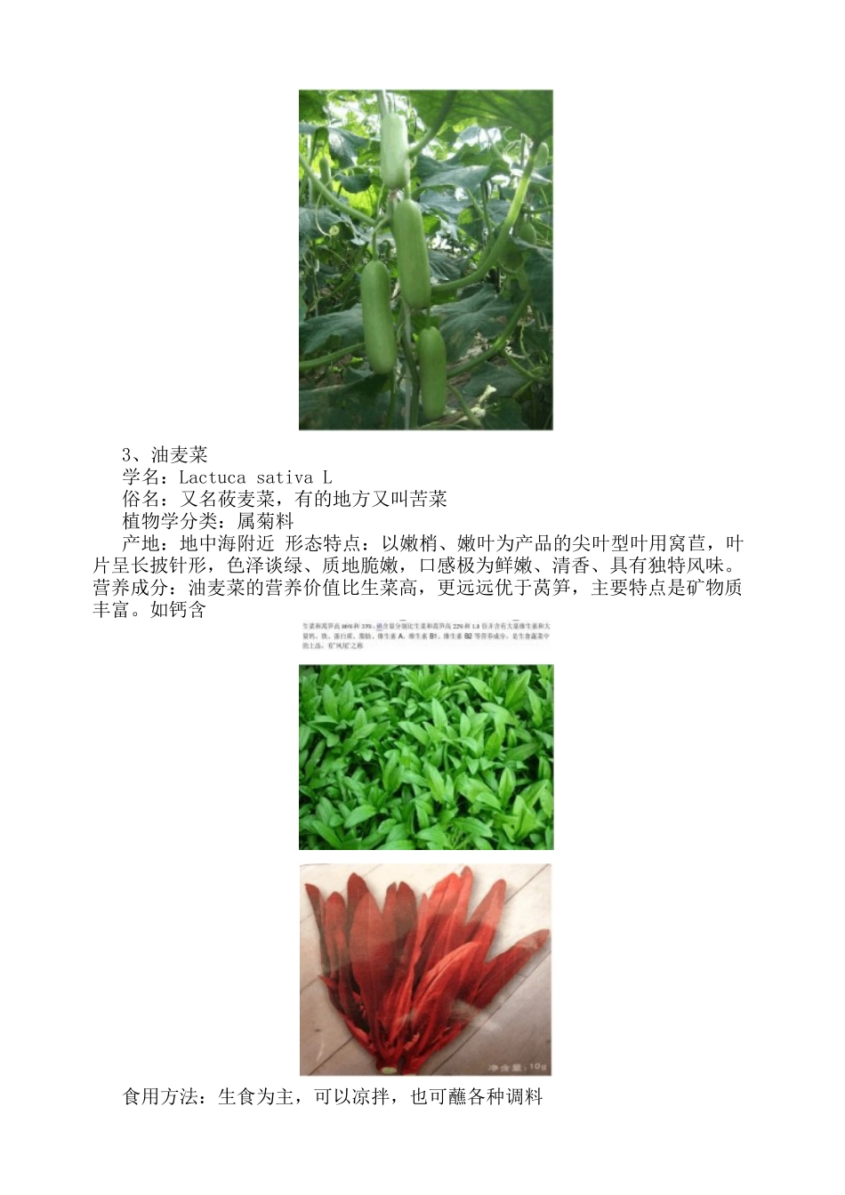 稀特类蔬菜1_第3页