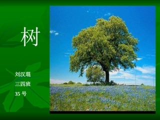 稀奇百怪的树