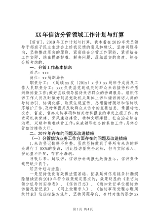 XX年信访分管领域工作计划与打算