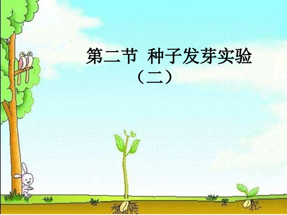 种子发芽实验(一)_第1页