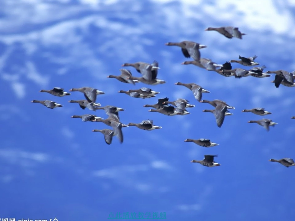 秋天的图画作文指导_第1页