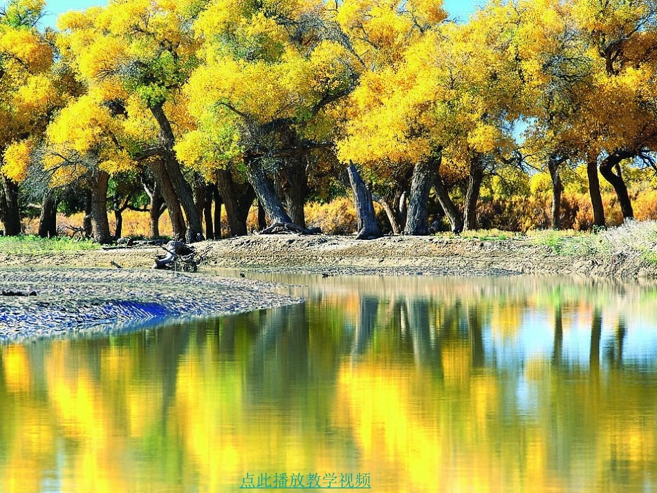 秋天的图画作文指导_第2页