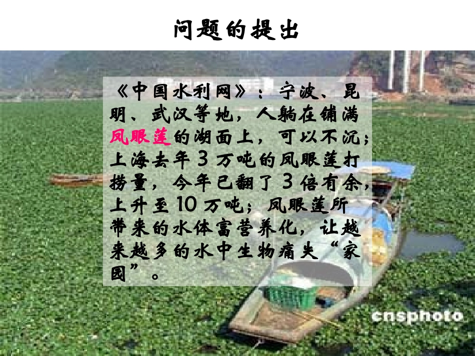 种群数量的变化_第1页
