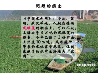 种群数量的变化
