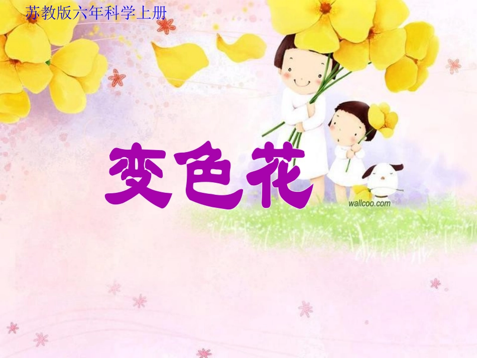 科学六年级上苏教版3.3变色花课件2_第1页