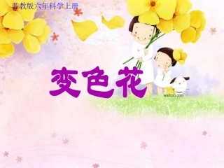 科学六年级上苏教版3.3变色花课件2