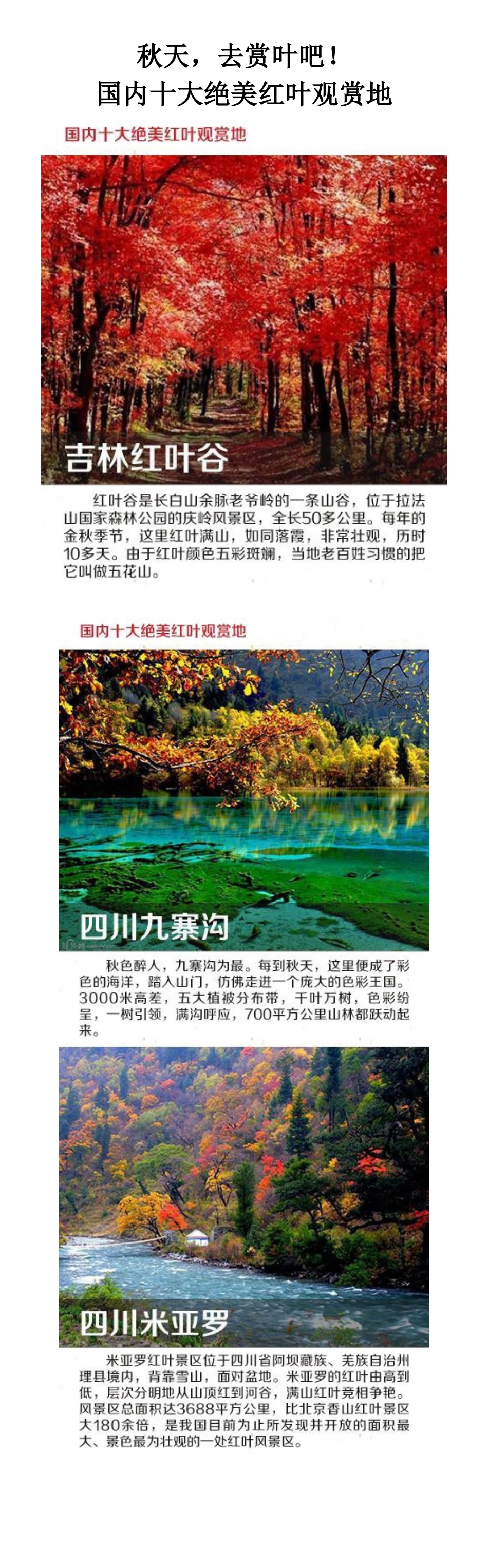 秋天,去赏叶吧!国内十大绝美红叶观赏地_第1页
