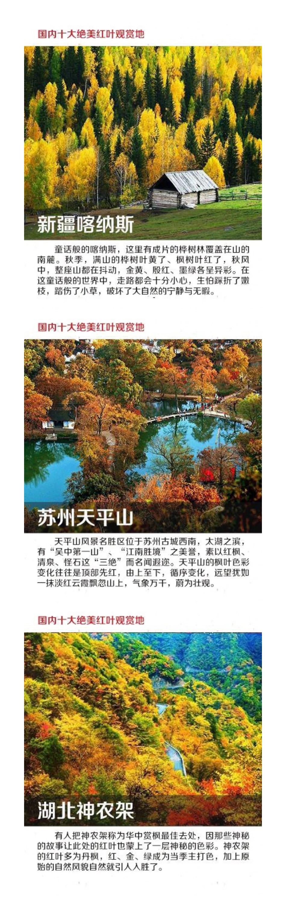 秋天,去赏叶吧!国内十大绝美红叶观赏地_第3页