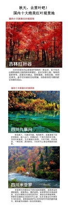 秋天,去赏叶吧!国内十大绝美红叶观赏地