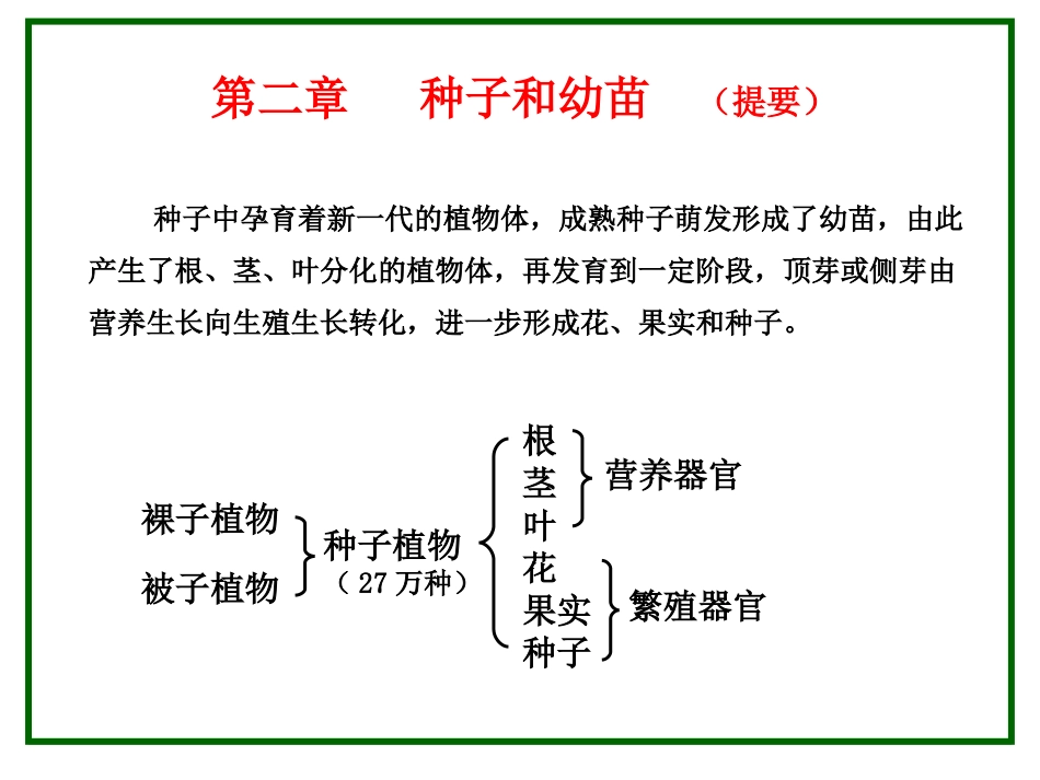种子及根(一)_第1页