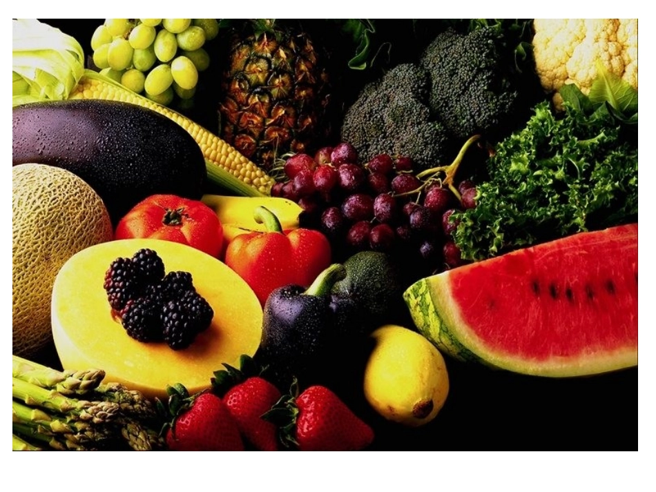 种子及根(一)_第2页