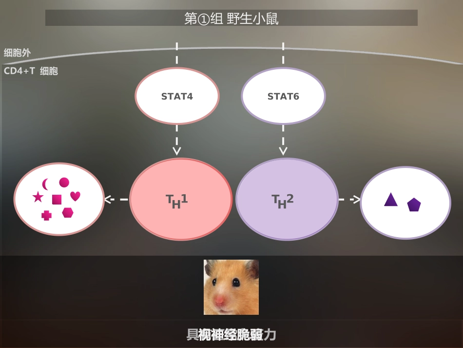 秀PPT优秀投稿017-科学松鼠会PPT精选-@果壳时间_第3页
