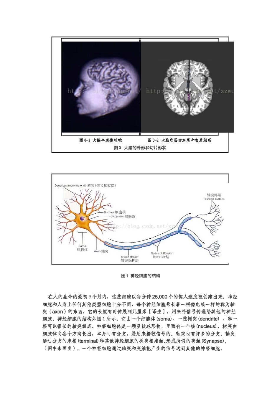 神经网络入门(Neural Networks in Plain English)_第3页