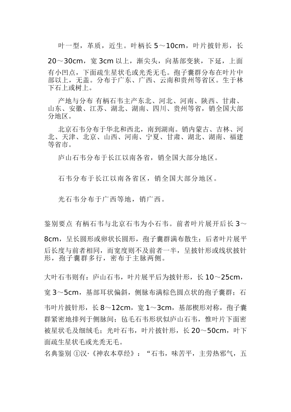 石韦的鉴别方法_第3页