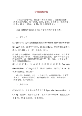 石韦的鉴别方法