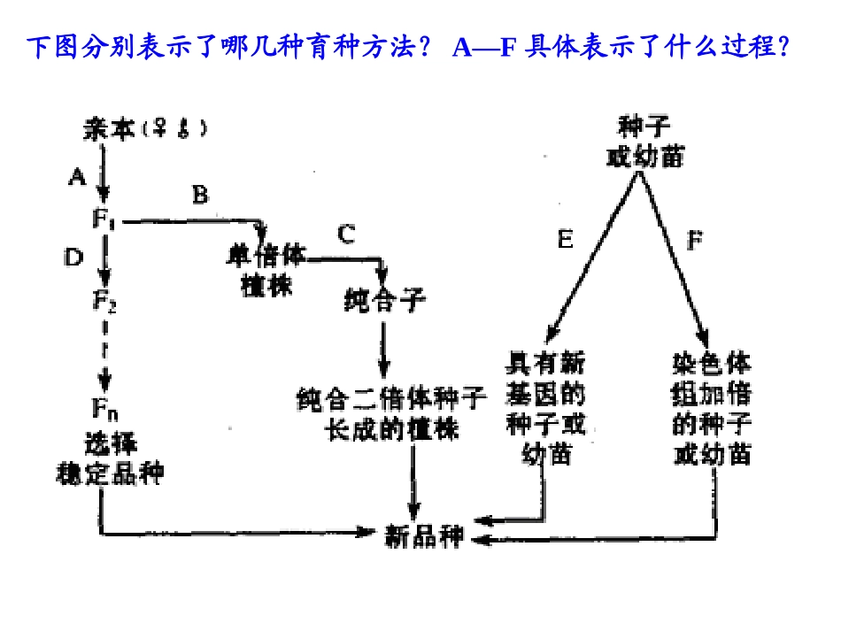 矮杆抗病的水稻_第2页