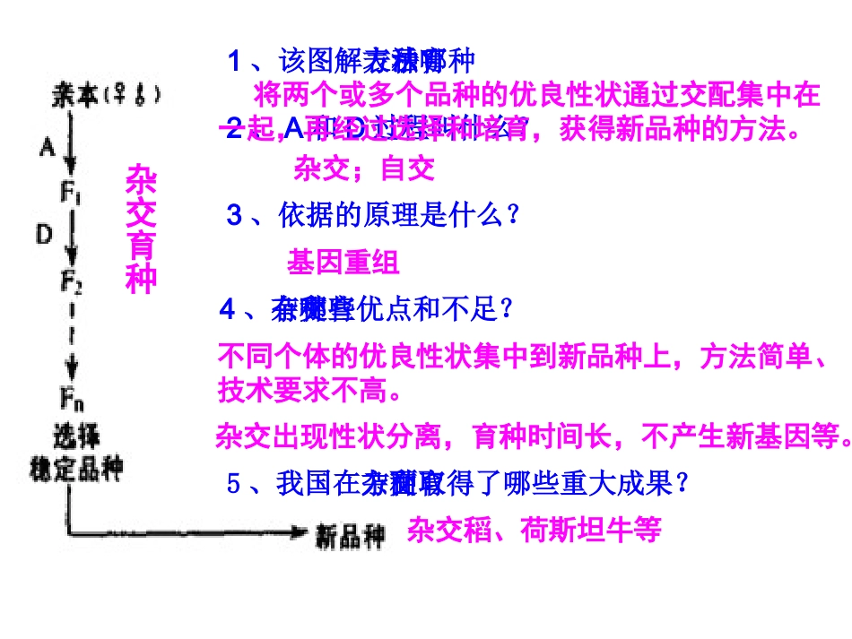 矮杆抗病的水稻_第3页