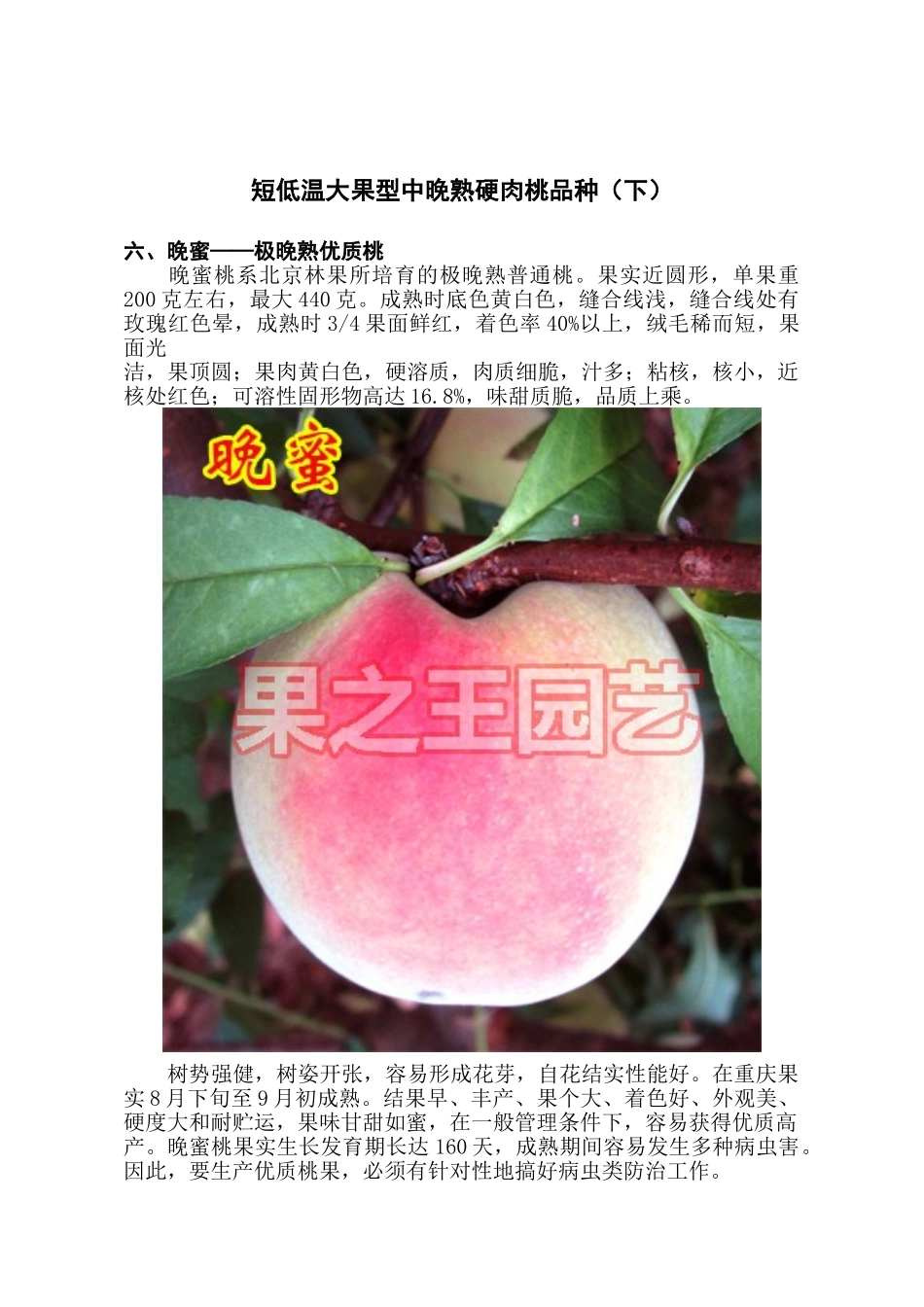 短低温大果型中晚熟硬肉桃品种(下)_第1页